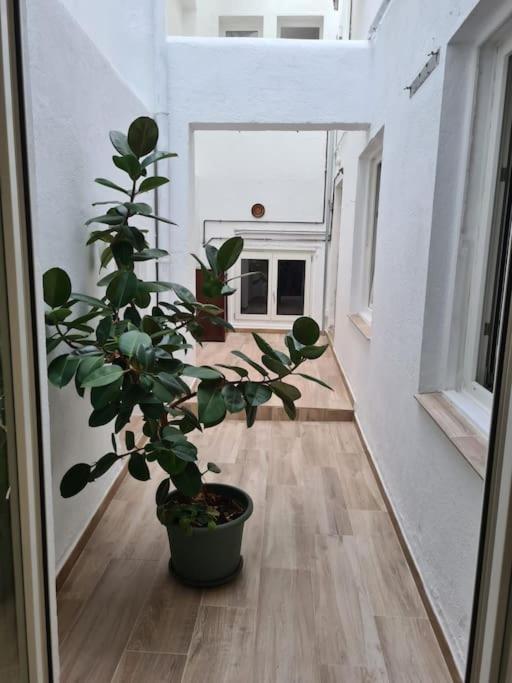 Appartamento Apartamento Centrico Pontevedra Esterno foto